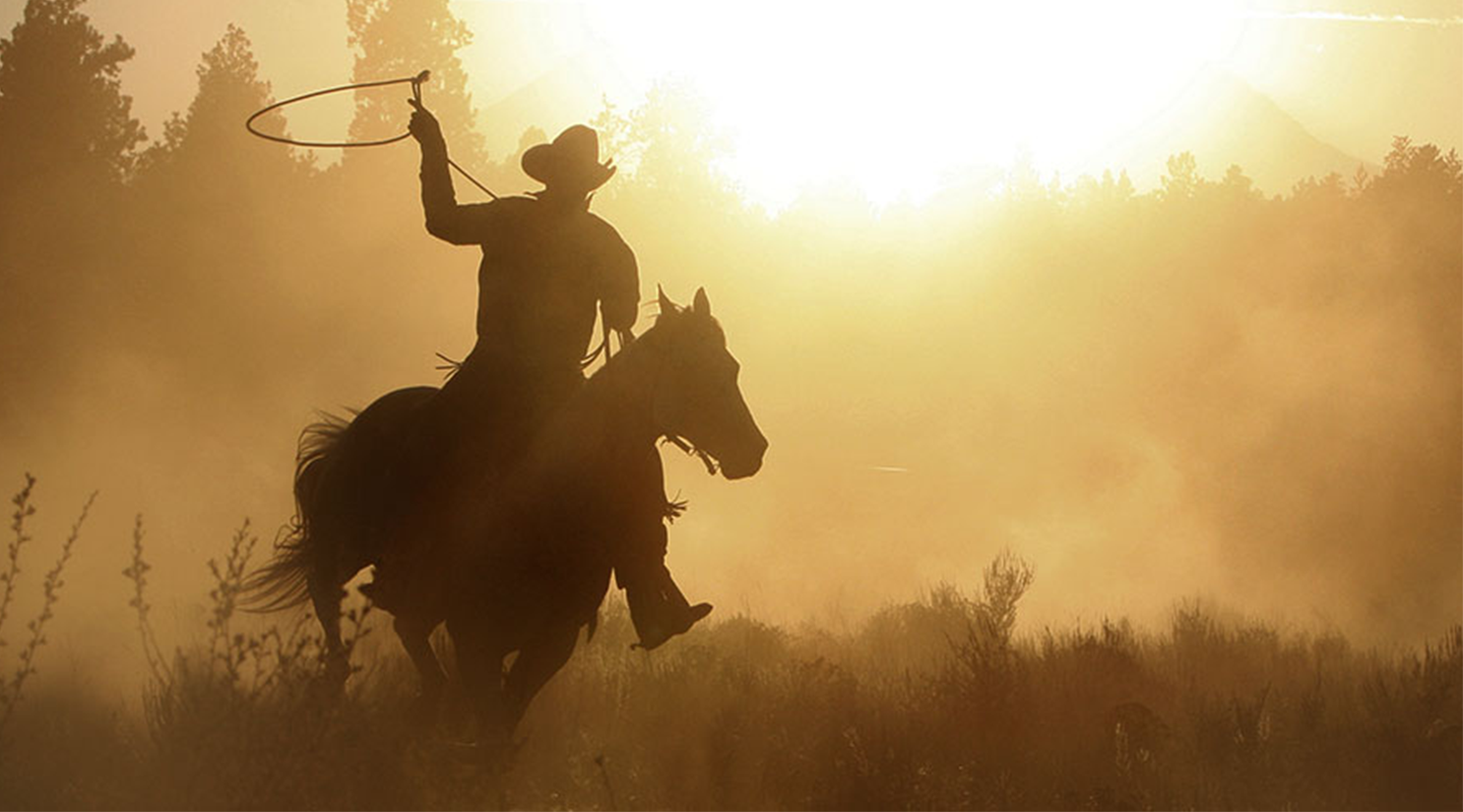 Cowboy fighting trials and tribulations of social media.