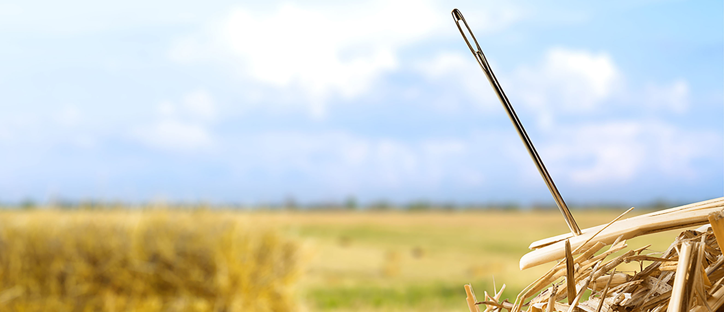 A needle in the haystack representing alternative data.